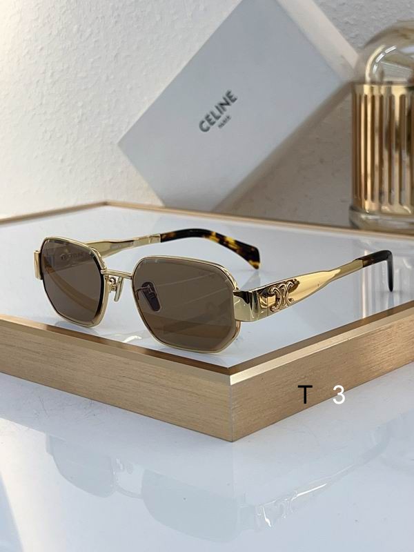 Celine Sunglasses ID:20240804-15